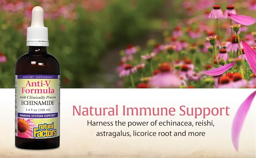 Natural Factors Anti-V Formula with Clinically Proven Echinamide 3.4 fl oz (100 ml) - Natural Immune Support; Harness the power of echinacea, reishi, astragalus, licorice root and more