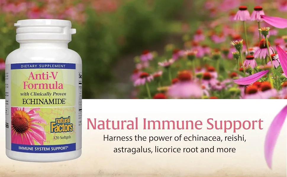 Natural Factors Anti-V Formula with Clinically Proven Echinamide 120 Softgels - Natural Immune Support; Harness the power of echinacea, reishi, astragalus, licorice root and more