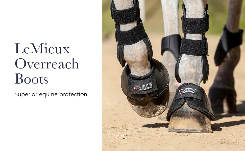 LeMieux Soft Shell Overreach Horse Boots - Protective Gear and Training Equipment - Equine Boots Wraps & Accessories Large Black - brushing jumps professional choice sport jumping tendon sports medicine shipping back track
