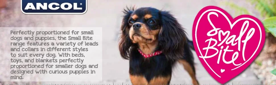 Ancol Small Bite Stars Collar (Adjusts 20-30 cm) and Lead ( 1m x 10 mm) Set Blue - information on the small bite range of products for puppies