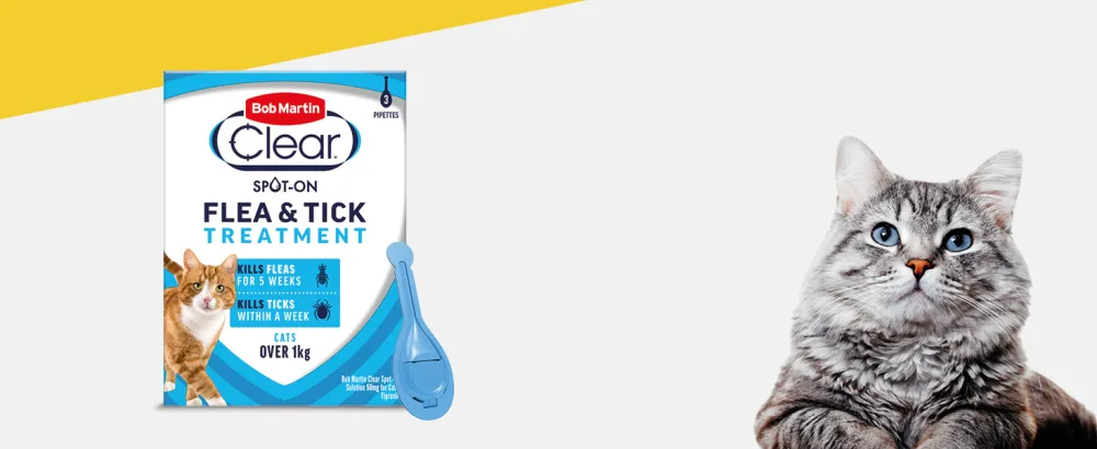 Bob Martin Clear Spot On Flea Treatment for Cats Kittens and Ferrets - Kills Fleas and Ticks (3 Pipettes) Clear Treatment - flea treatment for cats