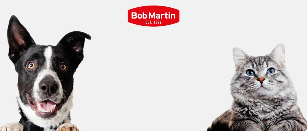 Bob Martin Clear Flea Treatment for Cats (3 Tablets) - Kills 100 Percent of Fleas within 24 Hours - Bob Martin - Brand Story Header