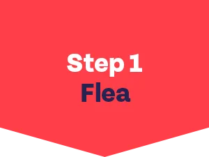Bob Martin Clear Flea Treatment for Cats (3 Tablets) - Kills 100 Percent of Fleas within 24 Hours - how to get rid of fleas - step 1