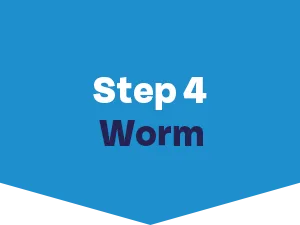Bob Martin Clear Flea Treatment for Cats (3 Tablets) - Kills 100 Percent of Fleas within 24 Hours - how to get rid of fleas - step 4 wormer