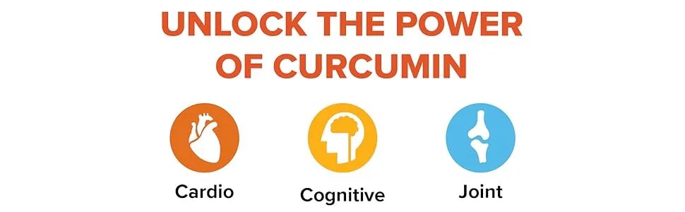Natural Factors CurcuminRich Joint Curcumizer 60 Vegetarian Capsules - Curcumin