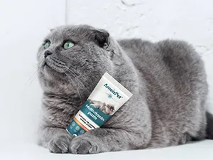 AmeizPet Cat Vitamins Paste Healthy Snack for Pet Fur and Health Cat Multivitamins 100 g (3.5 Oz) Multivitamin Paste - multivitamin paste