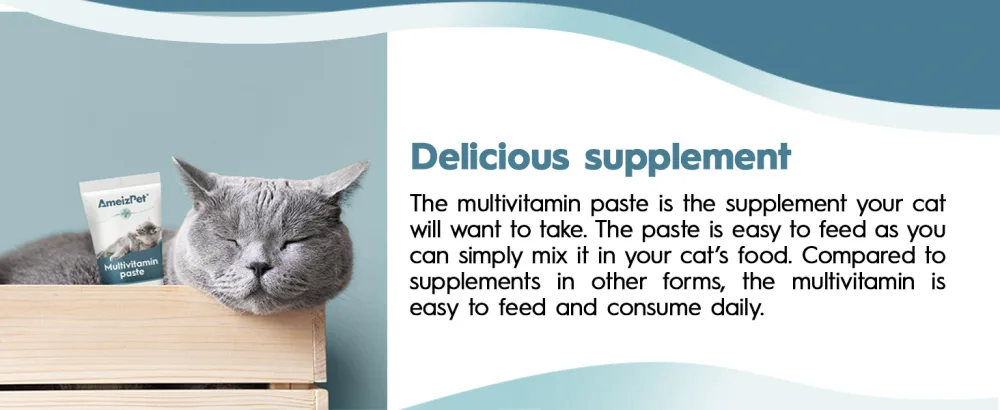 AmeizPet Cat Vitamins Paste Healthy Snack for Pet Fur and Health Cat Multivitamins 100 g (3.5 Oz) Multivitamin Paste - multivitamin paste for cats