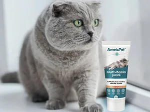 AmeizPet Cat Vitamins Paste Healthy Snack for Pet Fur and Health Cat Multivitamins 100 g (3.5 Oz) Multivitamin Paste - multivitamin paste for cats