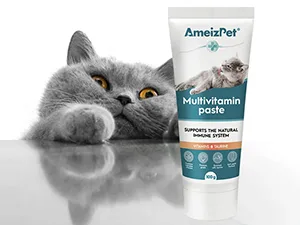 AmeizPet Cat Vitamins Paste Healthy Snack for Pet Fur and Health Cat Multivitamins 100 g (3.5 Oz) Multivitamin Paste - multivitamin paste for cats