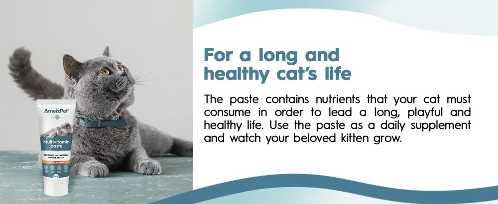 AmeizPet Cat Vitamins Paste Healthy Snack for Pet Fur and Health Cat Multivitamins 100 g (3.5 Oz) Multivitamin Paste - multivitamin paste for cats