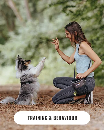 Rudelk nig Food bag for dogs - Retrieval training for dog dummy- Robust dog dummy food for treats Basic Red - training behaviour