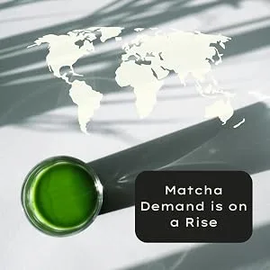 Nishio Single Origin Matcha From a Champion Tea Farm Ceremonial Grade Green Tea Powder 30g - Matcha Demand is on a Rise