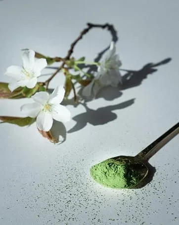 Nishio Single Origin Matcha From a Champion Tea Farm Ceremonial Grade Green Tea Powder 30g - ROKUCHA Matcha