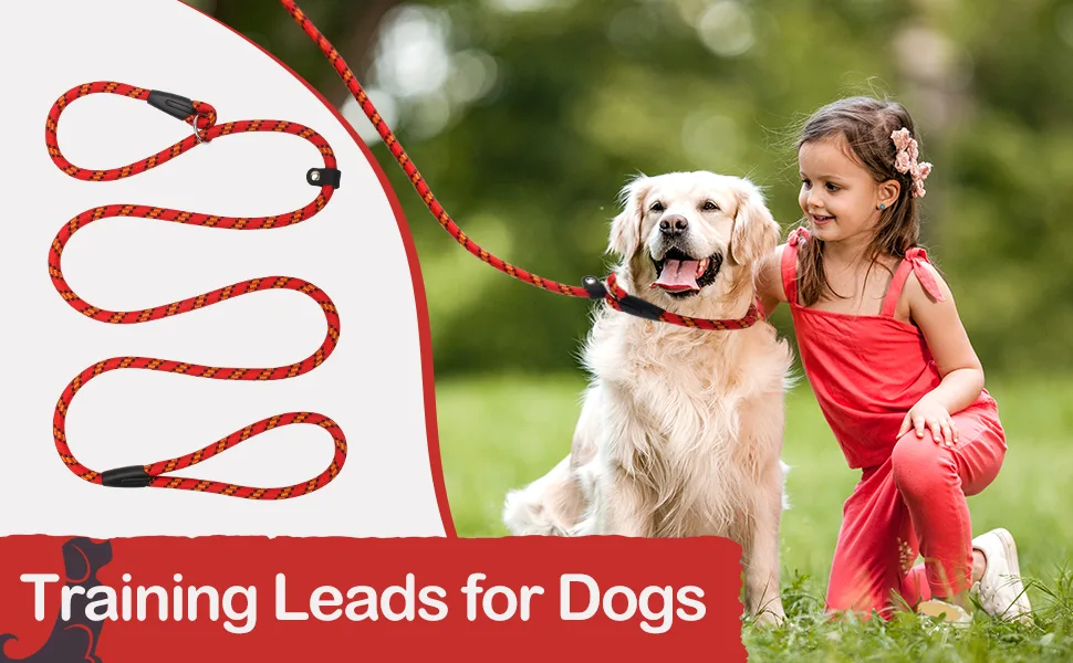 Dog Slip Lead Extremely Durable Strong Dog Training Leash Rope 150 cm Long Adjustable Pet Lead Leash For Small Medium Dogs (10-80 lbs) red - dog leash