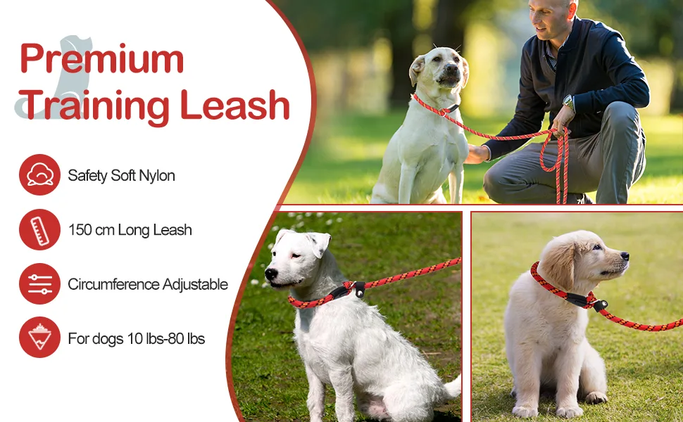 Dog Slip Lead Extremely Durable Strong Dog Training Leash Rope 150 cm Long Adjustable Pet Lead Leash For Small Medium Dogs (10-80 lbs) red - dog rope