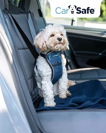 HALTI No Pull Harness Size Medium Professional Dog Harness to Stop Pulling on the Lead Easy to Use Anti-Pull Training Aid Adjustable Reflective and Breathable For Medium Dogs Black - CarSafe
