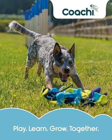 Company of Animals HALTI Front Control Harness Size Medium Professional Dog Harness to Stop Pulling on the Lead Easy to Use Anti-Pull Training Aid Front Leading No Pull Harness for Medium Dogs - Coachi