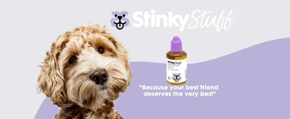 Stinky Stuff Ear Stuff - Soothe Itchy Irritated Ears - product information 5