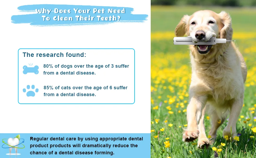 Dog Teeth Cleaning Kit Ultrasonic Pet Toothbrush Cleaner Toothbrush with 3 Modes and Lights Suitable for Dogs and Cats - product information 6