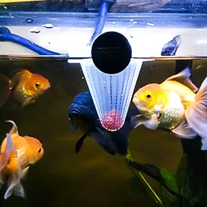 SENZEAL 6x Aquarium Live Red Worm Fish Feeder Plastic Cone Cup Shape Basket Feeder for Feeding Fish - Plastic Cone Cup Shape Basket