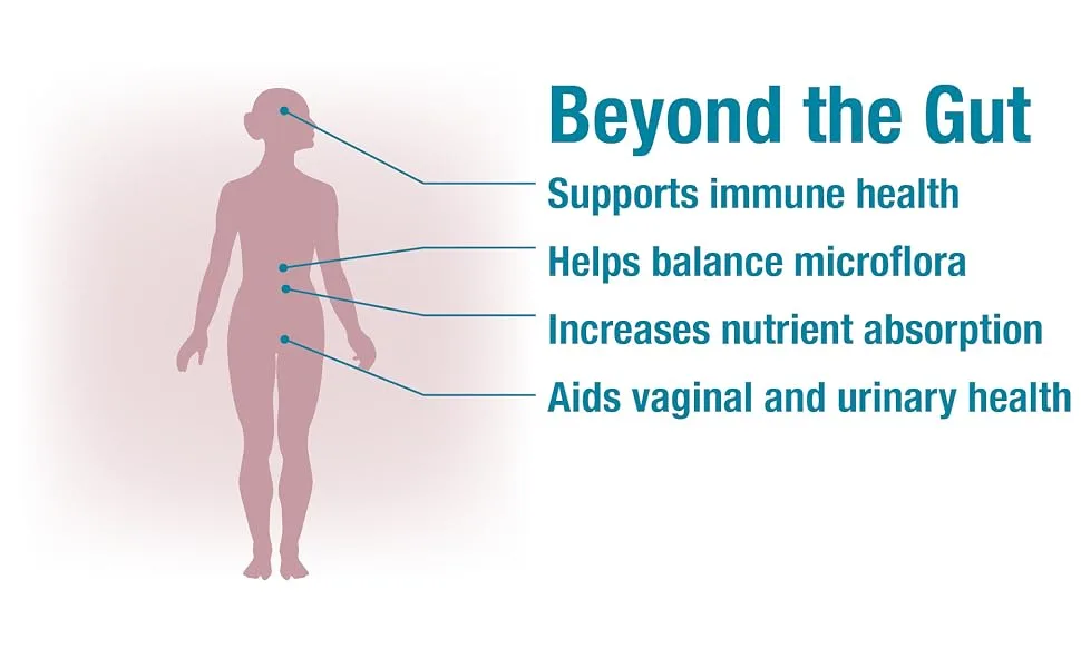 Natural Factors Ultima Probiotic Women's 12 Billion CFU 60 Vegetarian Capsules - Beyond the Gut