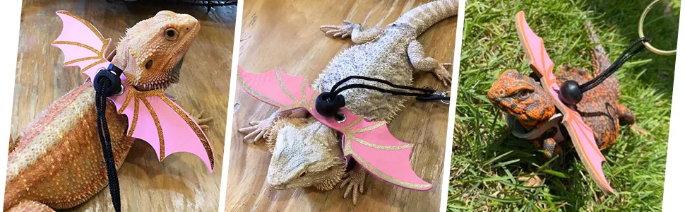 Bearded Dragon Lizard Leash Harness Adjustable Small Reptile Animals Harness w/ 3 Size Wing for Outdoor Safety Walking Pink - product information 31