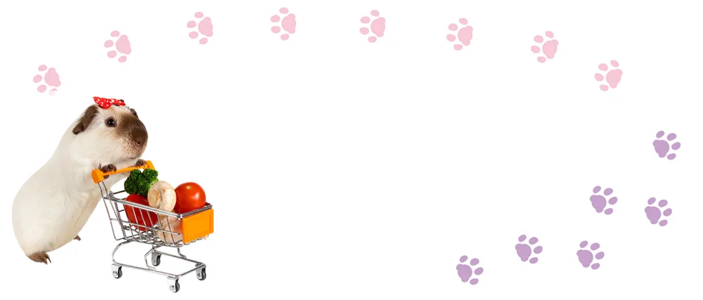 Mygeromon Small Pet Bed for Small Rabbit Guinea Pig Hamster Bunny Animals Warm Sleeping House for Winter (Red) - Guinea Pig Bed