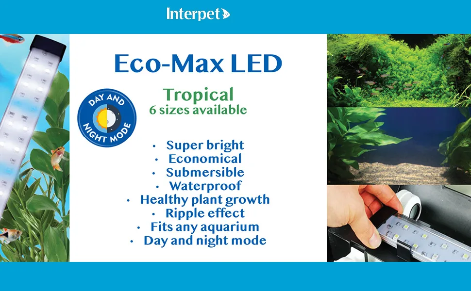 Interpet Eco-Max Led Bright Light Plant Growth Day & Night Mode Blue & White LEDs 20cm for Aquariums up to 36Cm 20 cm - interpet led lighting aquarium fish tank day night mode submersible waterproof