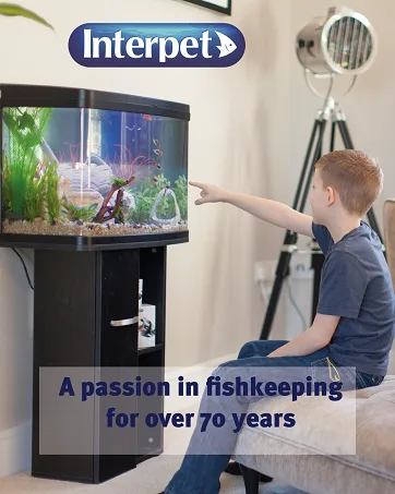 Interpet Easy Complete Aquarium Dip Test Kit - boy admiring well established and planted interpet aquarium