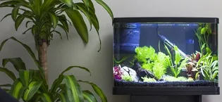 Interpet Easy Complete Aquarium Dip Test Kit - interpet aquarium products