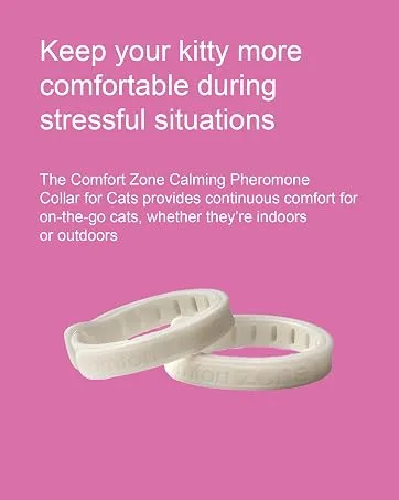 Comfort Zone Calming Pheromone Diffuser Starter Kit for a Calm Single or Multi-Cat Home Reduces Stress Spraying Scratching & Other Problematic Behaviours 1 Diffuser & 1 Refill - comfort zone collar
