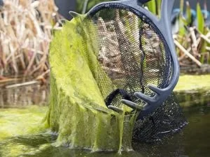 Blagdon Pond Algaway Removes Blanketweed and String Algae Pet & Wildlife Safe Small Treats 10 740L of Pond Water - product information 14