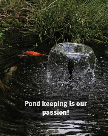 Blagdon Feature Algae Control Water Treatment Fast Acting Effective Clears Green Water Slime & Blanket Weed from Free Standing Water Features 250ml Treats 625 Litres - background image showing pond fountain and fish