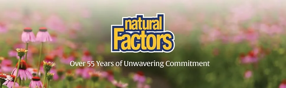Natural Factors Vitamin D3 2000 IU 120 Softgels - Natural Factors
