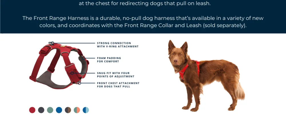 RUFFWEAR Front Range Harness Medium Dog Harness Reflective Y Harness Adjustable Comfortable Padded Everyday Dog Walking No Pull Dog Harnesses 2 Lead Attachments & V Ring Size M Red Summac Red Sumac M - RUFFWEAR
