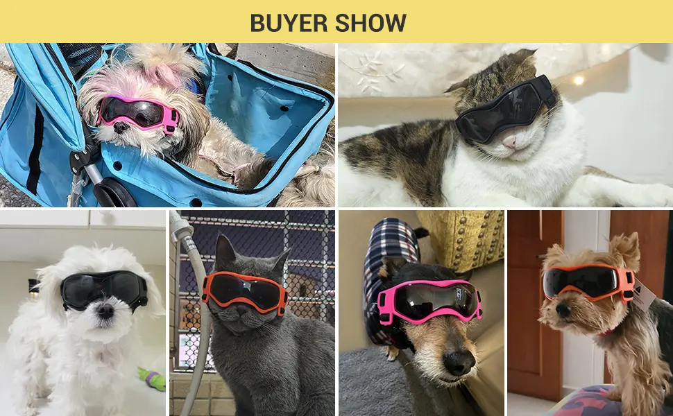 Enjoying Small Dog Goggles UV Protection Windproof Antifog Doggy Glasses for Pet Eye Wear Soft Frame Black Cool Black - dog sunglasses