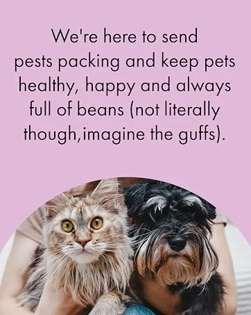 Itch | Worming Tablets for Cats 1kg+ | 2 Tablet | Treats Roundworms and Tapeworms | Kills Worm Larvae 2 Wormer Tablets - Itch Flea Treatment