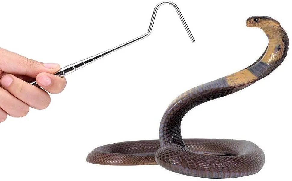 Zerodis Extendable Snake Capture Hook Stainless Steel Telescoping Snake Catcher Reptile Capture Hook for Reptile Catching Controlling Moving Small Animals - B084NZ1P99