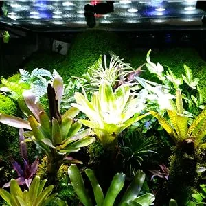 Zerodis Reptiles Mist Sprinkler Rainforest Tank Cooling Nozzle Adjustable Pet Reptile Forest Super Fogger Mist System Cooling System Black for Tropical Forest - product information 22