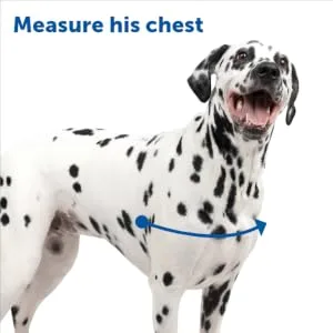 PetSafe Easy Walk Harness No-Pull Walking Harness for Dogs Adjustable Fit Includes 1.8m Lead Large-Black/Beige Black/Beige Medium - front lead harness, small harness for dog, gentle leader for dogs medium, anti pull harness for dogs