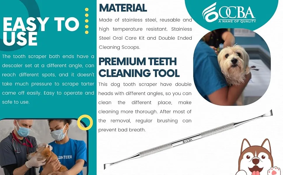 OCBA Double Headed Tarter Scraper Tooth Scaler Stainless Steel Plaque Remover for Dogs & Cats Pet Dental Teeth Cleaning Tool - Plaque Remover