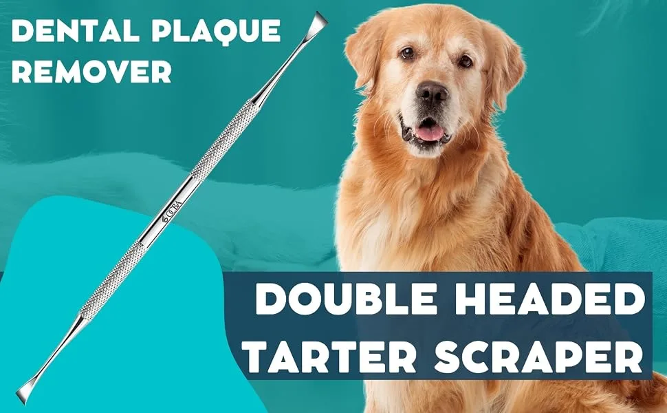 OCBA Double Headed Tarter Scraper Tooth Scaler Stainless Steel Plaque Remover for Dogs & Cats Pet Dental Teeth Cleaning Tool - Plaque Remover