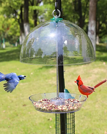 PFNRTH Bungee Squirrel Feeder Squirrel Feeder for Outside Cob Holder Squirrel Feeder Attracts Squirrel Chipmunk and Other Backyard Wildlife - PFNRTH-8