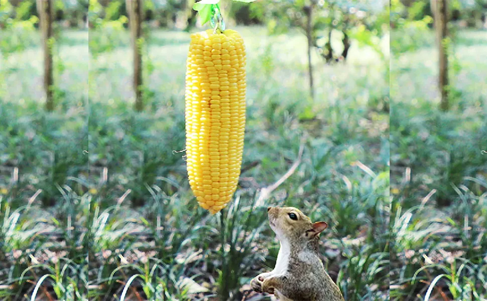 PFNRTH Bungee Squirrel Feeder Squirrel Feeder for Outside Cob Holder Squirrel Feeder Attracts Squirrel Chipmunk and Other Backyard Wildlife - squirrel bungee feeder