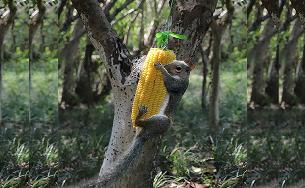 PFNRTH Bungee Squirrel Feeder Squirrel Feeder for Outside Cob Holder Squirrel Feeder Attracts Squirrel Chipmunk and Other Backyard Wildlife - squirrel feeders