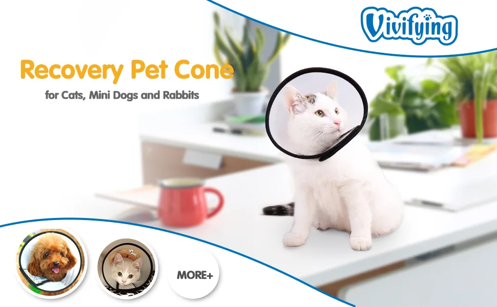 Vivifying Cat Cone 7.2-9.0 Inches Lightweight Plastic Elizabethan Collar for Cats Mini Dogs and Rabbits (M Black) - cat cone