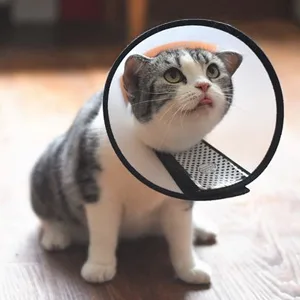 Vivifying Cat Cone 7.2-9.0 Inches Lightweight Plastic Elizabethan Collar for Cats Mini Dogs and Rabbits (M Black) - cat cone