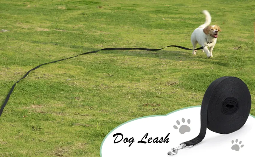 Vivifying Long Line Dog Lead 10m/32ft Nylon Training Lead for Dogs Tracking Training Obedience Lead Leash (Black) 10m Black - 10m dog lead