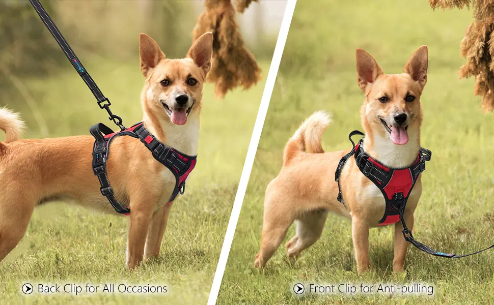 PHOEPET Reflective Dog Harness Large Breed Adjustable No Pull Vest with with Handle 2 Metal Rings 3 Buckles Easy to Put on & Take Off (M Red) Medium Red - D RING
