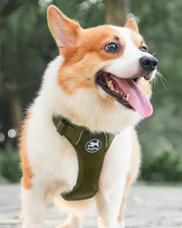 PoyPet No Pull Dog Harness with Neck Release Buckle Reflective No-Choke Harness with 2 Leash Clip Adjustable Soft Padded Pet Vest with Easy Control Handle for Small Dogs (Black S) S Black - product information 8